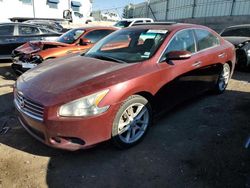 Salvage cars for sale at Anthony, TX auction: 2010 Nissan Maxima S