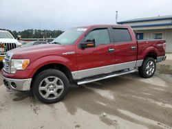 Salvage cars for sale from Copart Florence, MS: 2013 Ford F150 Supercrew