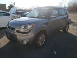 Salvage cars for sale at Glassboro, NJ auction: 2012 KIA Soul +