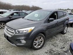 Salvage cars for sale at Windsor, NJ auction: 2019 Ford Escape SE