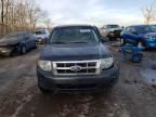 2008 Ford Escape XLS