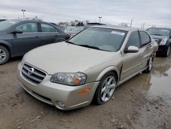 Salvage cars for sale from Copart Indianapolis, IN: 2003 Nissan Maxima GLE