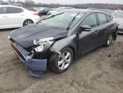 Salvage cars for sale at Earlington, KY auction: 2017 Ford Focus SE