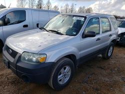 Salvage cars for sale from Copart Earlington, KY: 2006 Ford Escape XLS