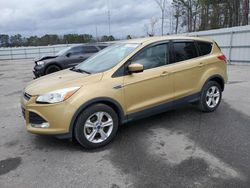 Ford Escape SE Vehiculos salvage en venta: 2015 Ford Escape SE