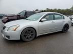 2008 Nissan Maxima SE