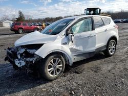 Salvage cars for sale at Grantville, PA auction: 2019 Ford Escape SE