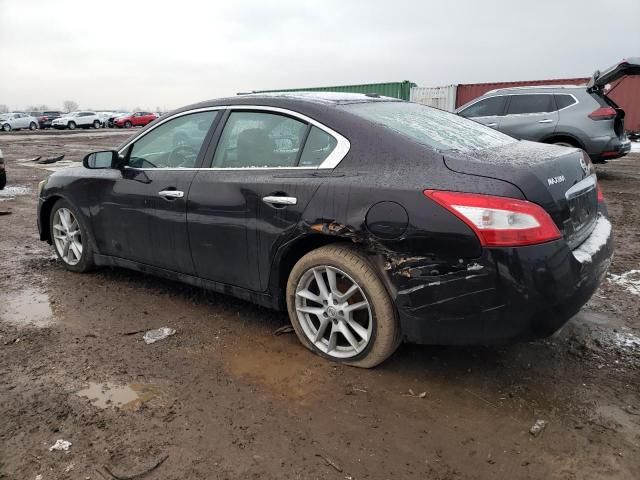 2010 Nissan Maxima S