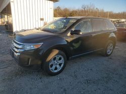 Salvage cars for sale at Memphis, TN auction: 2013 Ford Edge SEL