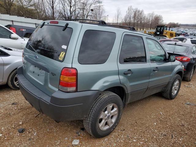 2005 Ford Escape XLT