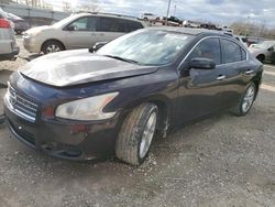 Salvage cars for sale from Copart Louisville, KY: 2010 Nissan Maxima S