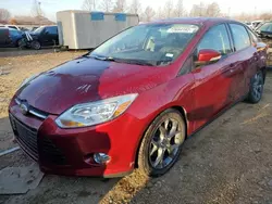Salvage cars for sale at Bridgeton, MO auction: 2014 Ford Focus SE