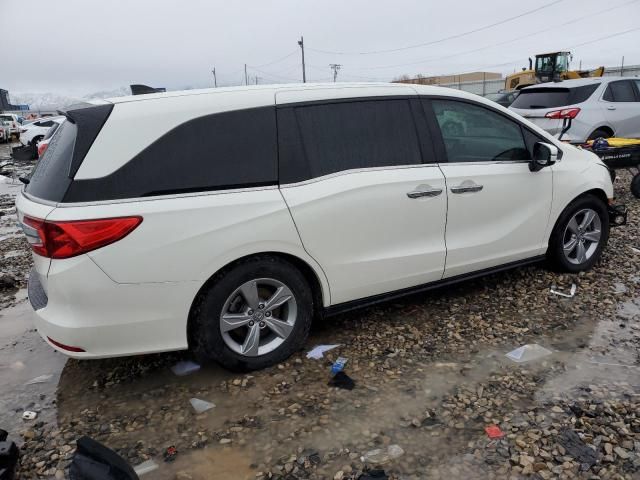 2019 Honda Odyssey EXL