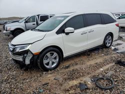 Honda salvage cars for sale: 2019 Honda Odyssey EXL