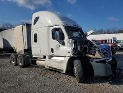 Salvage Trucks for sale at auction: 2016 Freightliner Cascadia 125