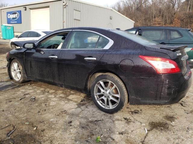 2010 Nissan Maxima S