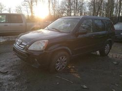 Honda salvage cars for sale: 2006 Honda CR-V SE