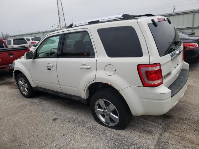 2010 Ford Escape Limited