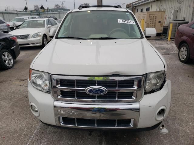 2010 Ford Escape Limited