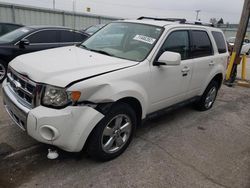 Carros salvage para piezas a la venta en subasta: 2010 Ford Escape Limited