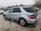 2006 Mercedes-Benz ML 500