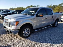 Ford salvage cars for sale: 2013 Ford F150 Supercrew