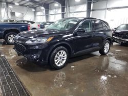 Ford salvage cars for sale: 2020 Ford Escape SE