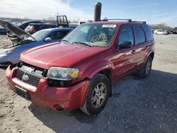 Ford salvage cars for sale: 2005 Ford Escape Limited