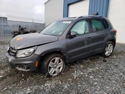 Salvage cars for sale from Copart Elmsdale, NS: 2014 Volkswagen Tiguan S