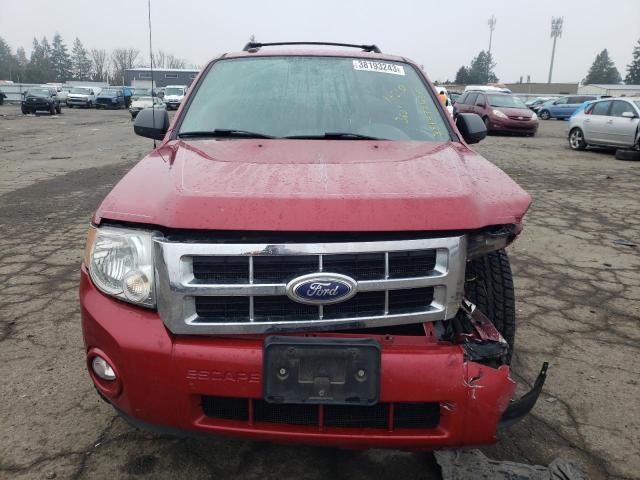 2010 Ford Escape XLT