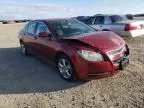 2011 Chevrolet Malibu 1LT