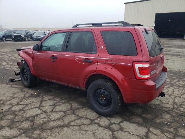 2010 Ford Escape XLT