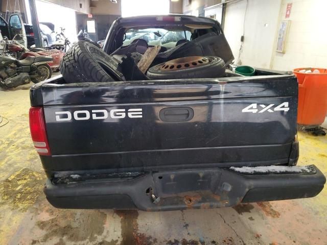 2000 Dodge Dakota Quattro