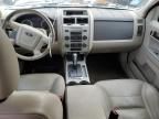 2008 Ford Escape HEV