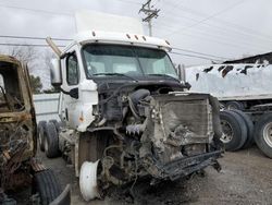 Salvage trucks for sale at Lebanon, TN auction: 2012 Freightliner Cascadia 113