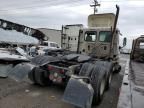 2012 Freightliner Cascadia 113