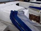 2006 Bayliner Boat