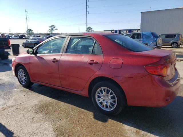 2010 Toyota Corolla Base