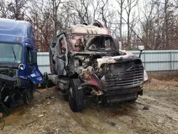 Freightliner Vehiculos salvage en venta: 2010 Freightliner Cascadia 125