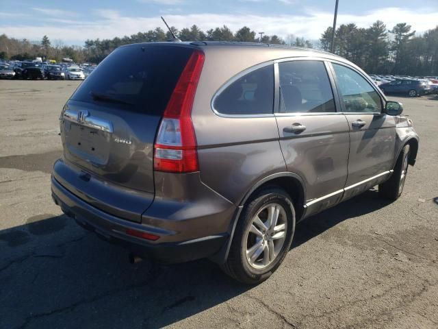 2010 Honda CR-V EXL