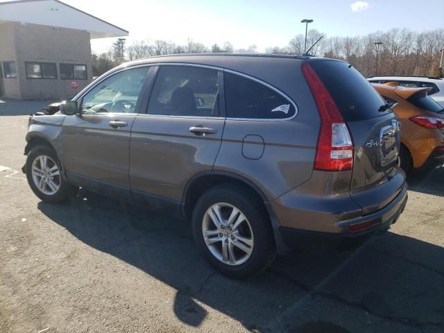 2010 Honda CR-V EXL