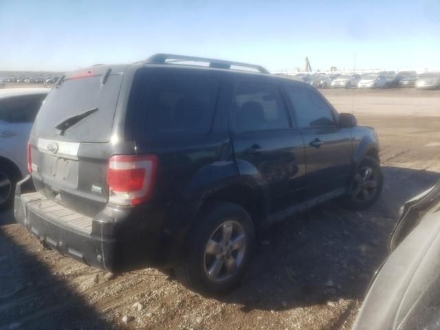 2010 Ford Escape Limited