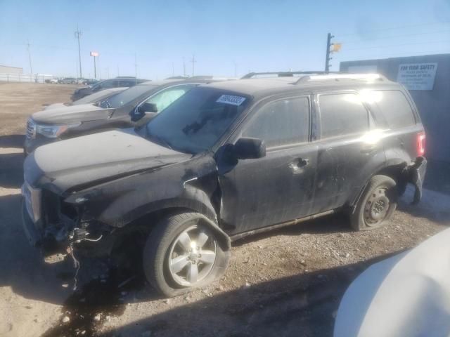 2010 Ford Escape Limited