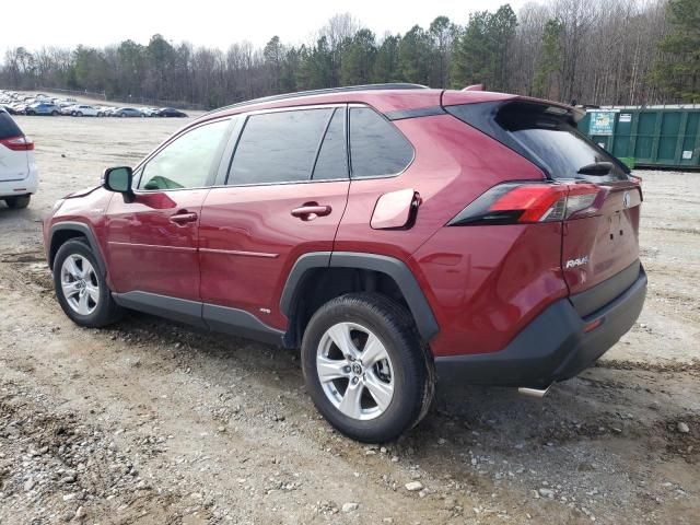 2019 Toyota Rav4 XLE