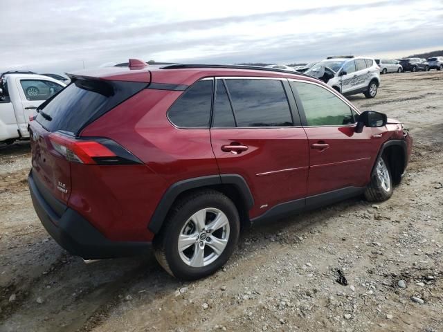 2019 Toyota Rav4 XLE