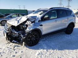 Salvage cars for sale at Elgin, IL auction: 2017 Ford Escape SE