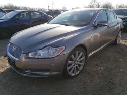 Salvage cars for sale at Hillsborough, NJ auction: 2011 Jaguar XF Premium