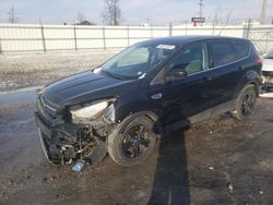 Salvage cars for sale at Milwaukee, WI auction: 2013 Ford Escape SE