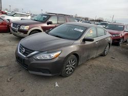 Salvage cars for sale at Indianapolis, IN auction: 2016 Nissan Altima 2.5