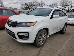 KIA Sorento sx Vehiculos salvage en venta: 2012 KIA Sorento SX